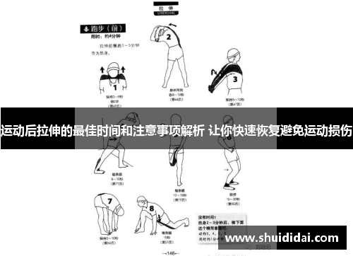 运动后拉伸的最佳时间和注意事项解析 让你快速恢复避免运动损伤